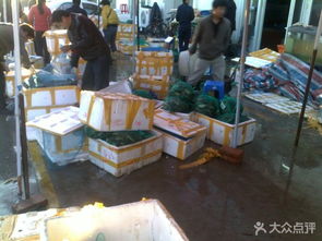 王顶堤市场 水产与五金建材的双重商业生态解析